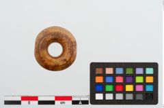 Foto von Bernsteinringperle (NHMW-PRAE-023979)